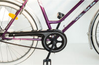 Fahrrad Kettenschutz Classic-Line 219-1 + 2 zus....